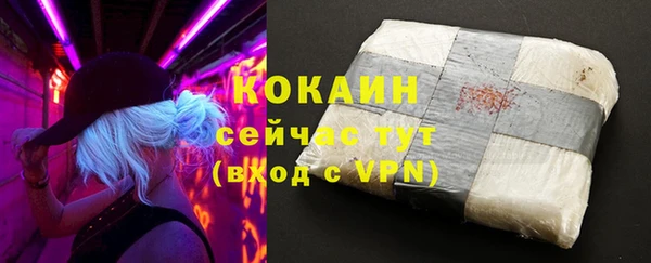гидра Белоозёрский