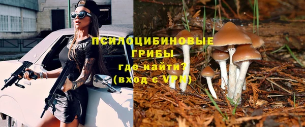 молекула духа Белокуриха