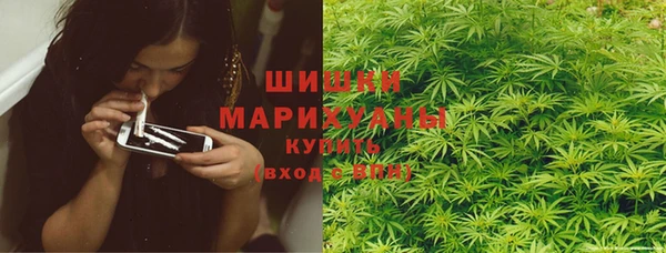 молекула духа Белокуриха
