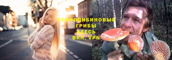 молекула духа Белокуриха