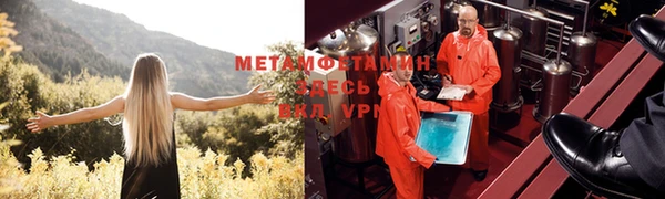 гидра Белоозёрский