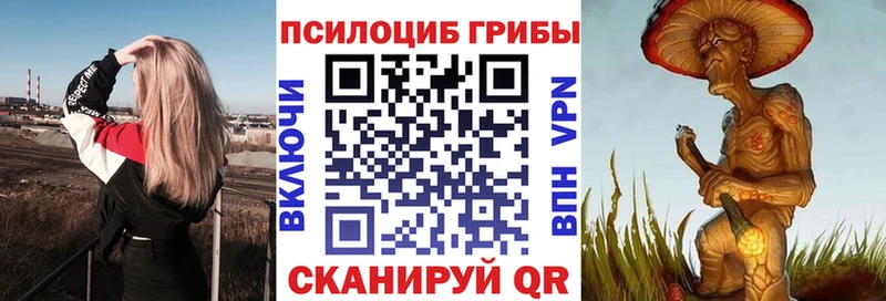Псилоцибиновые грибы ЛСД  Сольвычегодск 